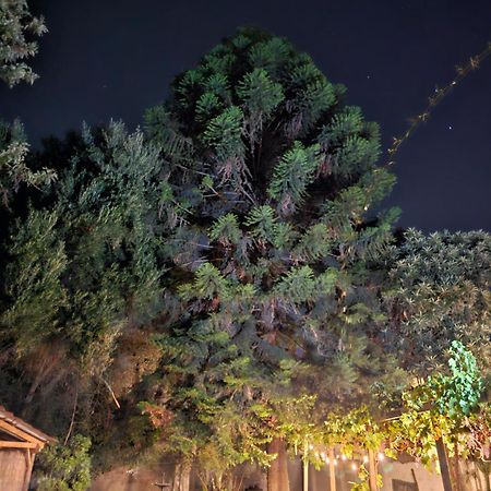 La Araucaria Cabana Con Tinaja San Felipe Exterior photo