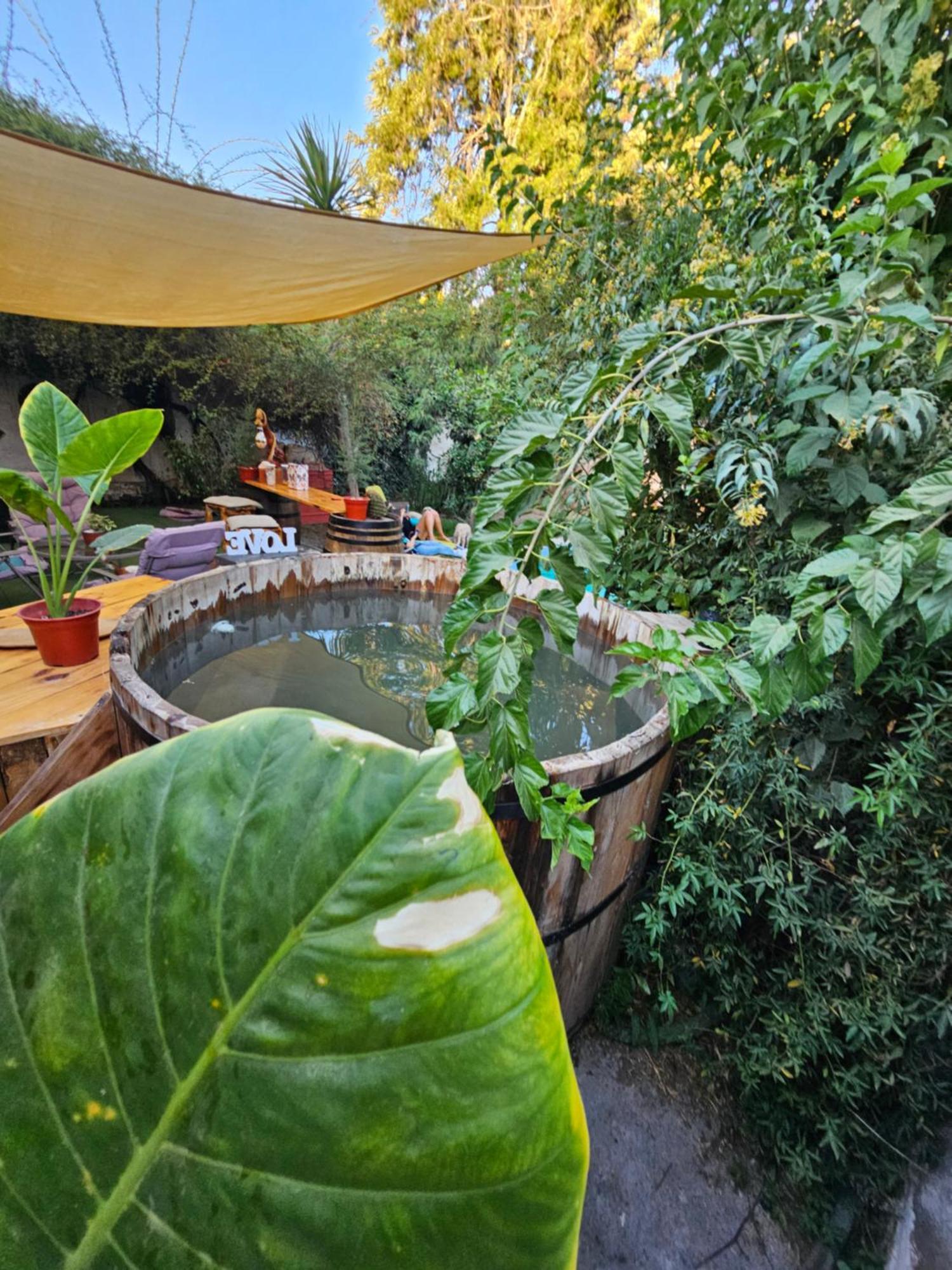 La Araucaria Cabana Con Tinaja San Felipe Exterior photo