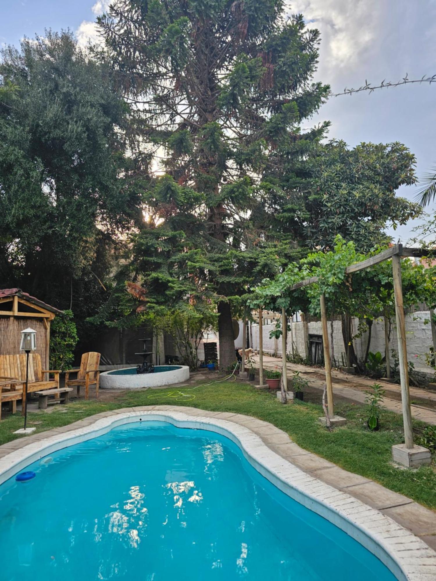 La Araucaria Cabana Con Tinaja San Felipe Exterior photo
